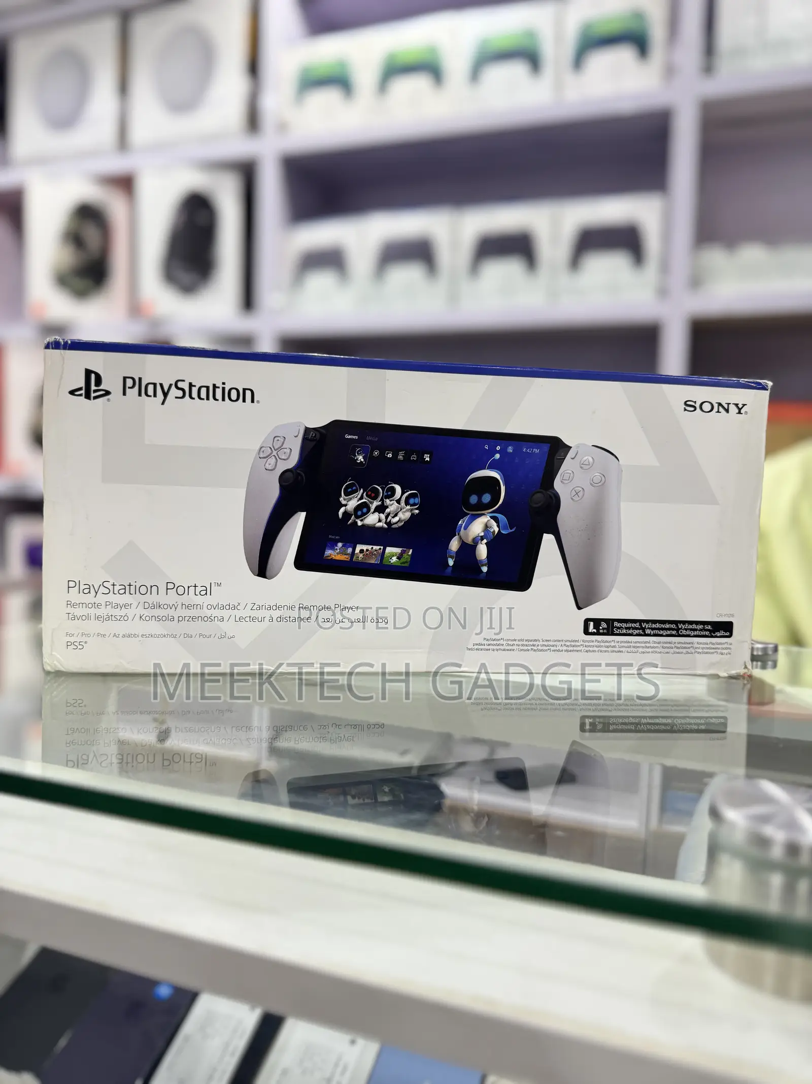Ps 5 Portal
