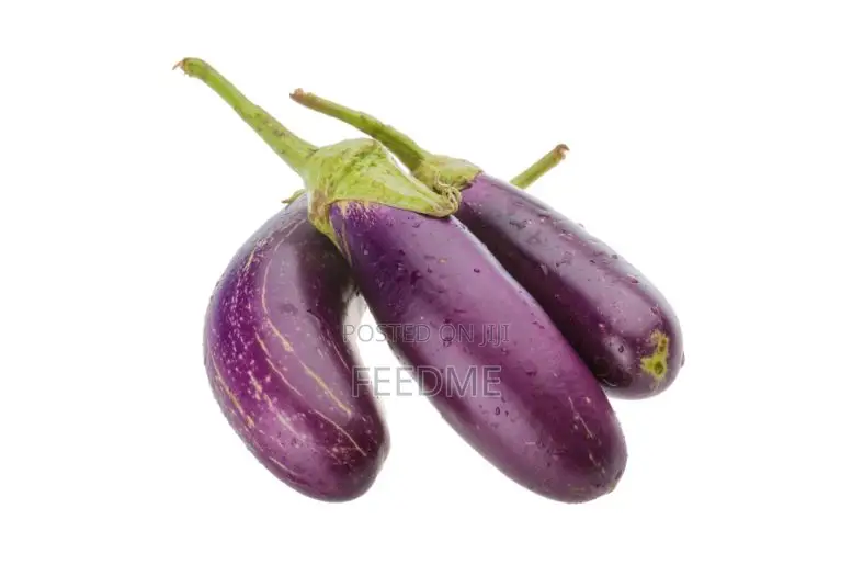 Fresh Eggplant