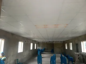 Professional Ceiling Installation and Repair