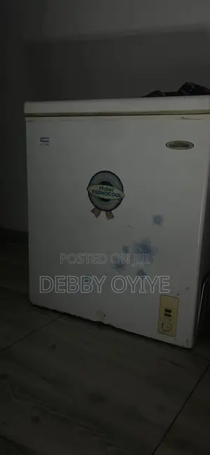 Haier Thermocool Freezer for Sale