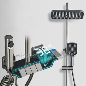 Executive Temperature Display Shower