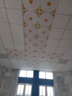 Suspended Ceiling Repairs and Replacement