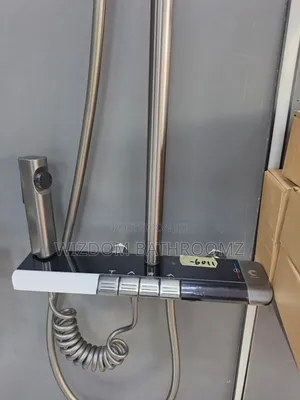 Executive Temperature Display Shower