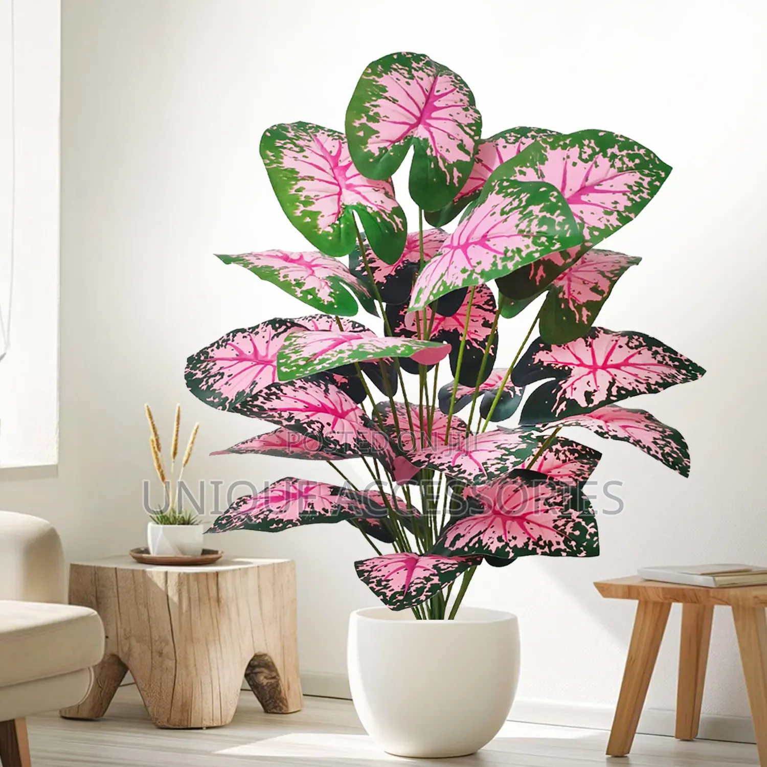 Flower Plants for Homes Offices