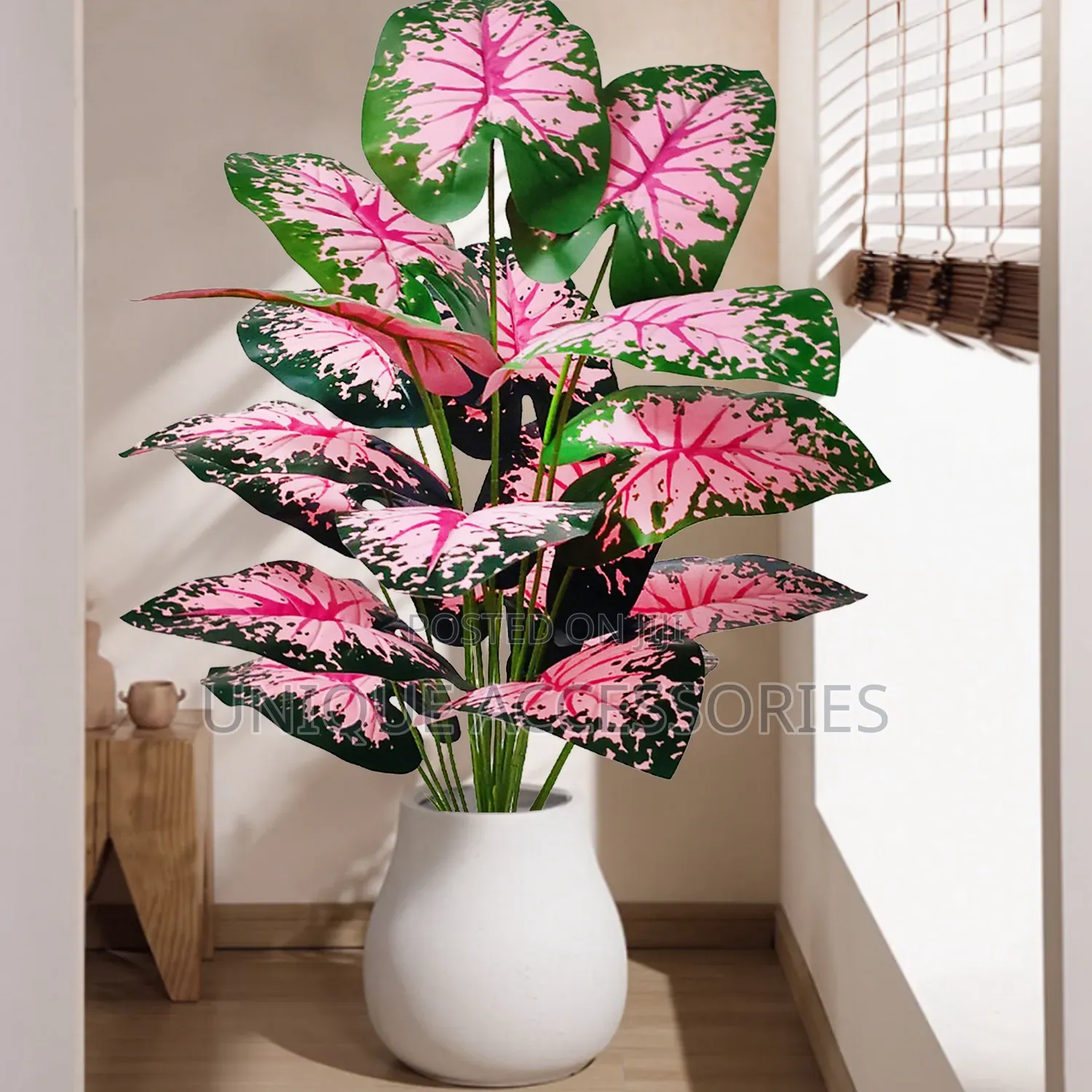 Flower Plants for Homes Offices