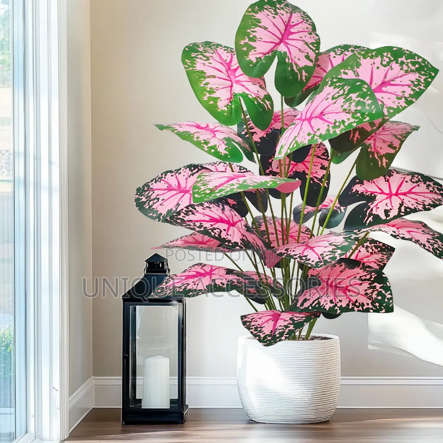 Flower Plants for Homes Offices