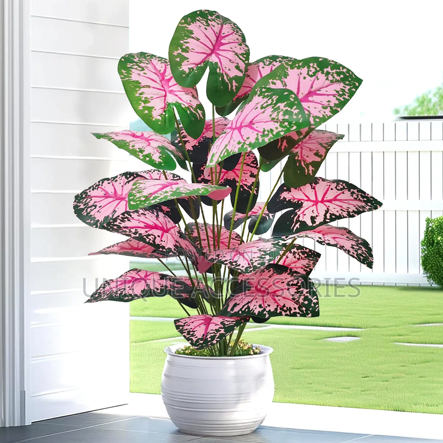 Flower Plants for Homes Offices