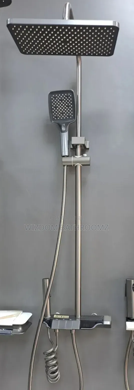 Executive Temperature Display Shower