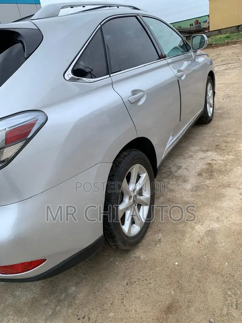 Lexus RX 350 2010 Silver