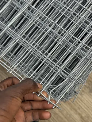 Galvanized Wire Mesh