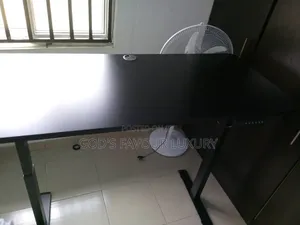 Electric Adjustable Desk.