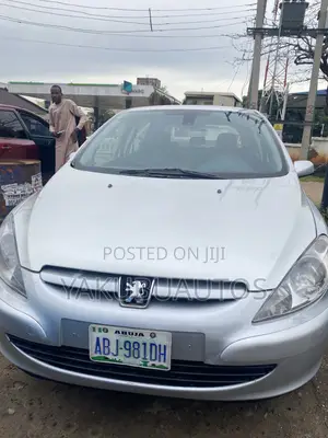 Peugeot 307 2007 Silver