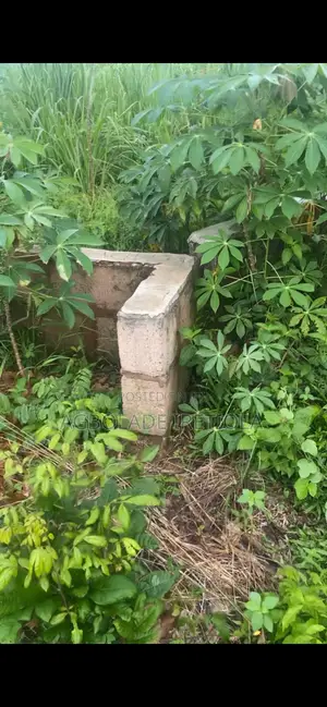 Land and Property