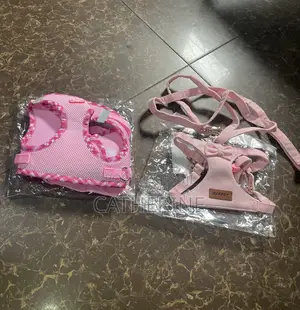 Clearance Sale for Pet Items From Use