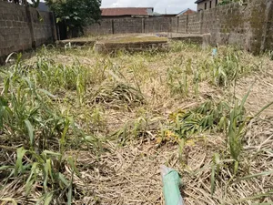 Half Plot of Land at Magboro via Ojodu Berger