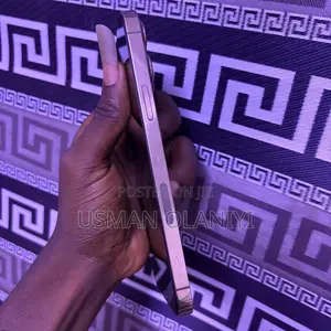 Apple iPhone 13 Pro Max 256 GB Gold