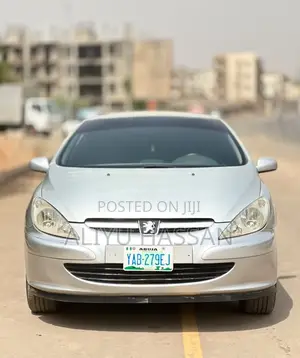 Peugeot 307 2007 Silver