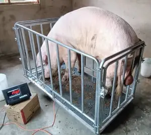 3tons Digital Platform Animal Walking Scale Cage