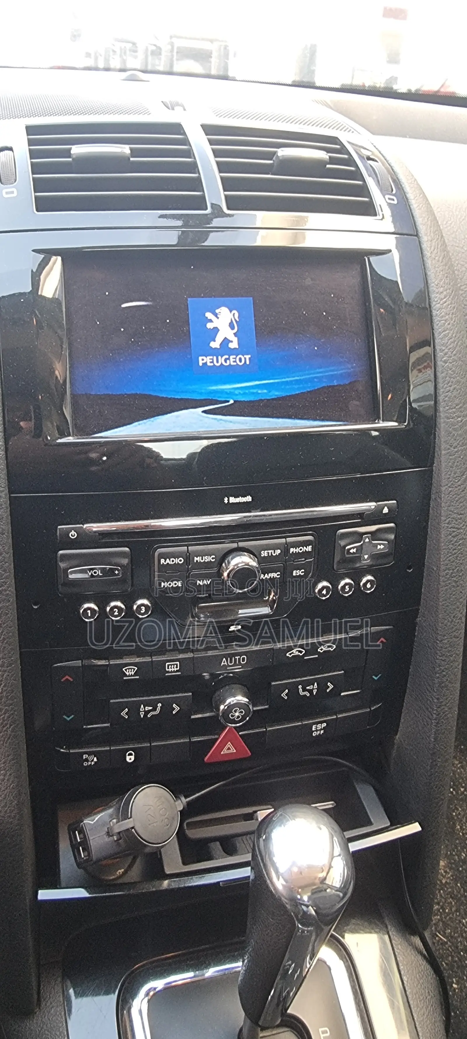 Peugeot 407 2011 Gray