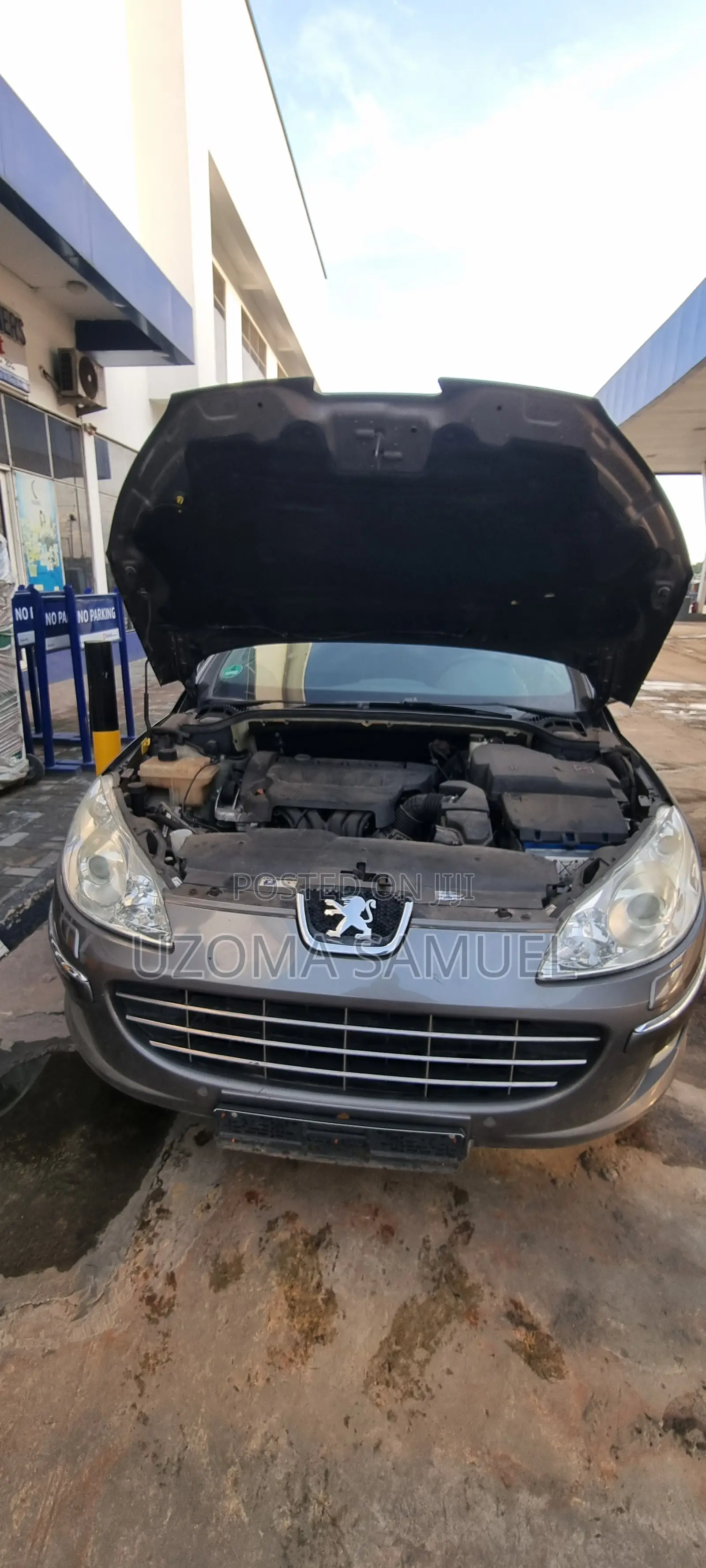 Peugeot 407 2011 Gray