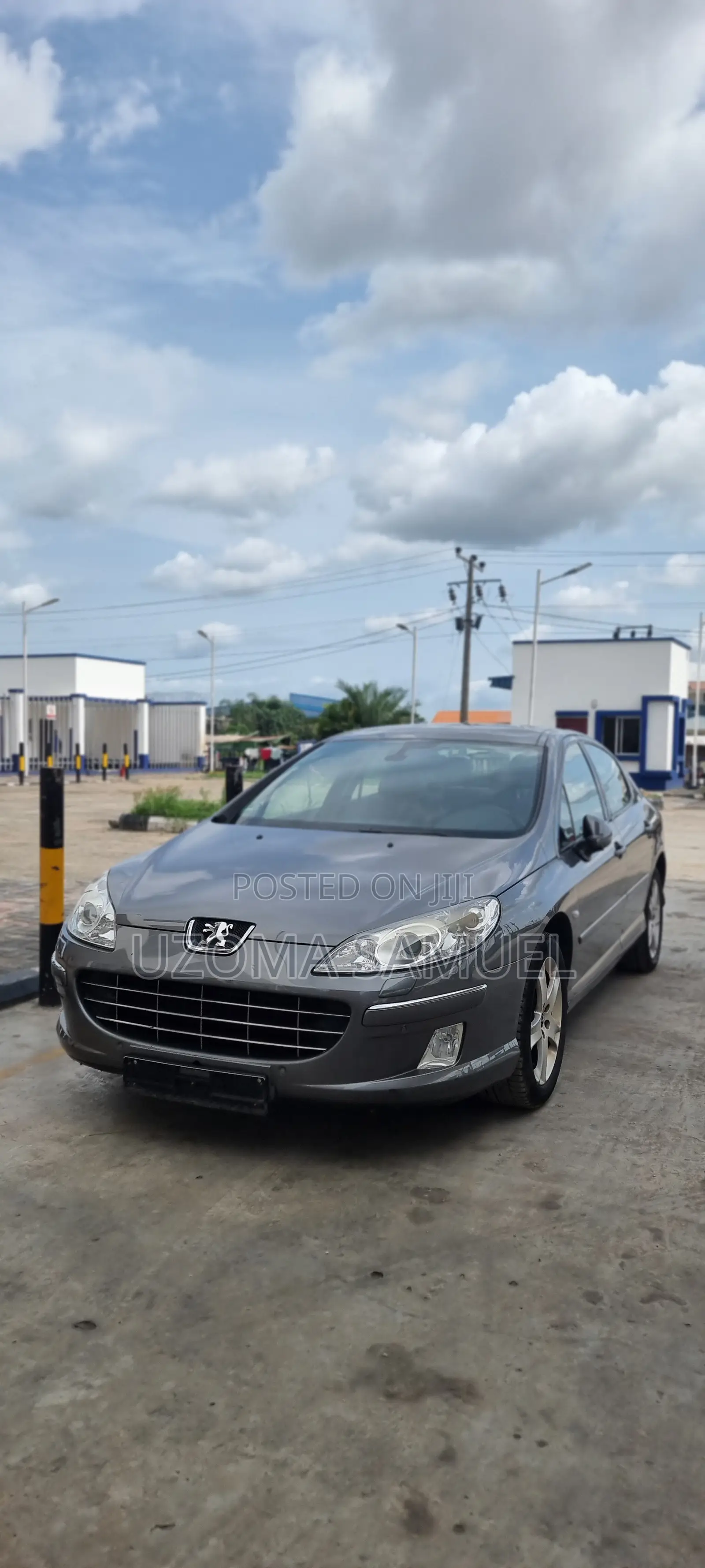 Peugeot 407 2011 Gray