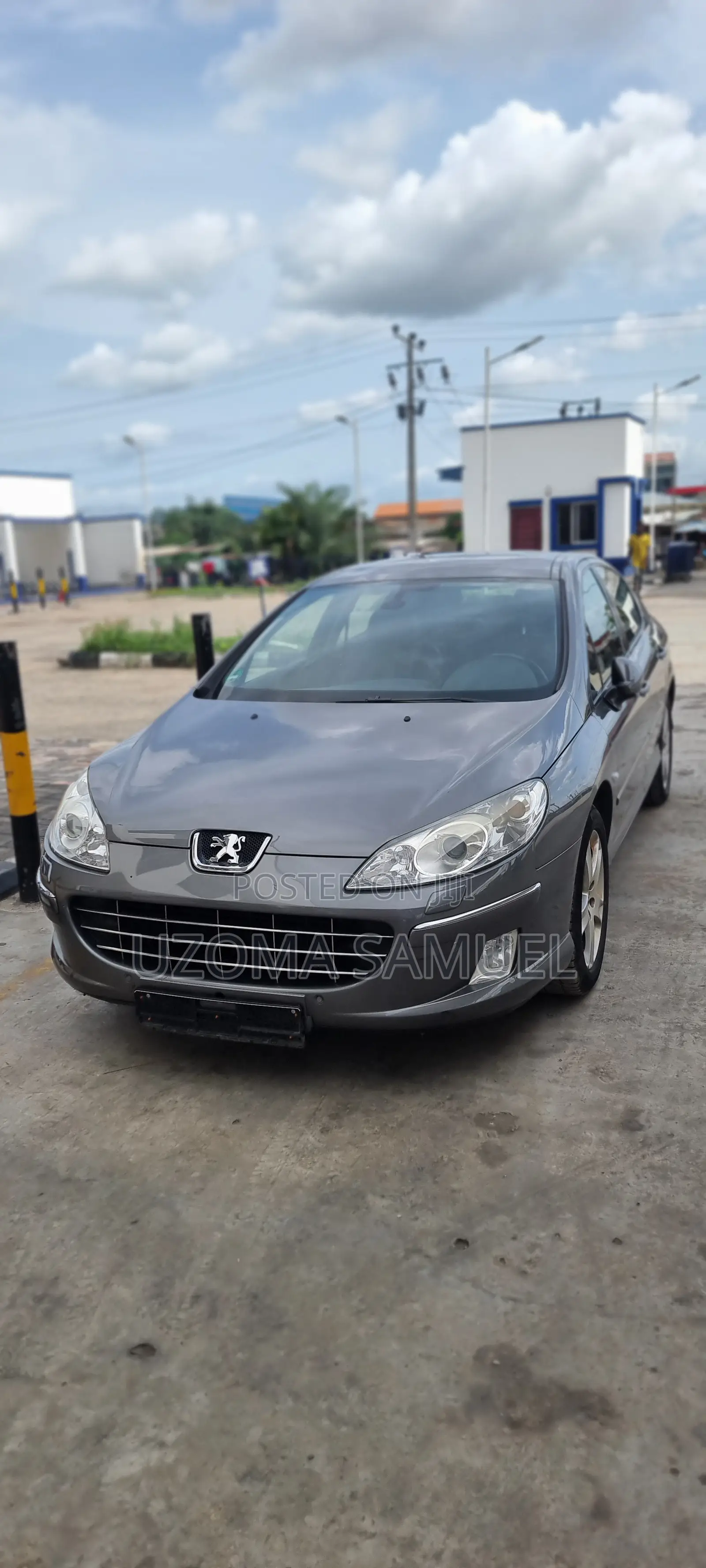Peugeot 407 2011 Gray