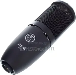 Akg P120 High-Performance Condenser Recording Microphone