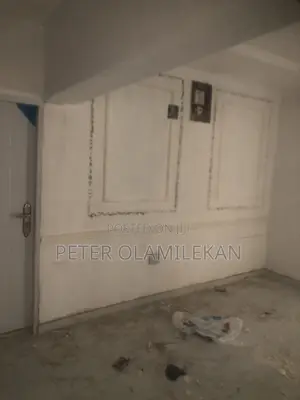 Wall Design and Interior Decoration