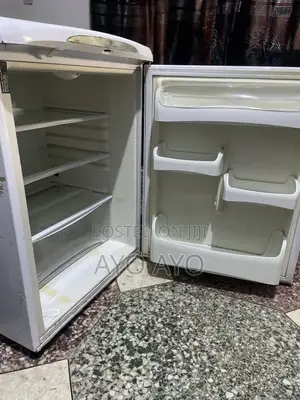 Use Fridge