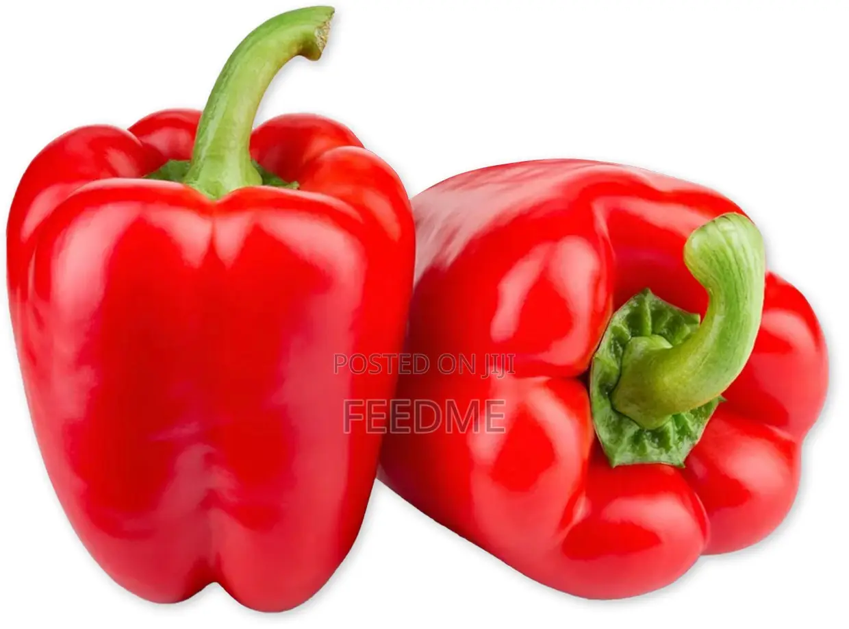 Red Bell Pepper (Big)