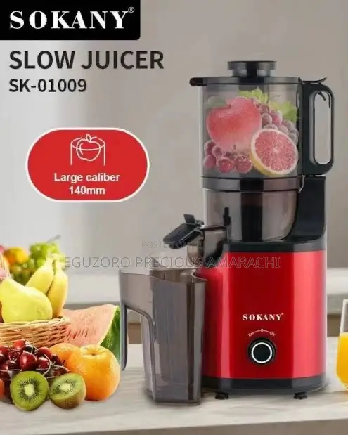 Sokany Sk-01009 Slow Juicer 800w