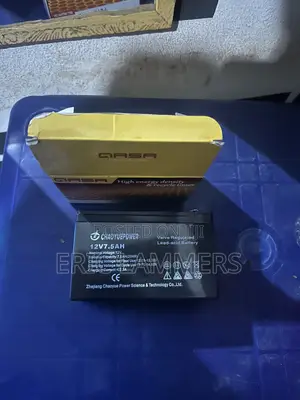Qasa Generator Battery