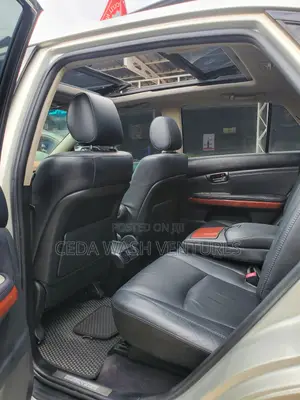 Lexus RX 2009 Silver