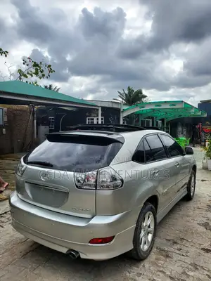 Lexus RX 2009 Silver