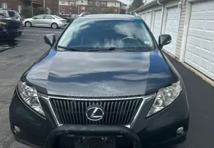 Lexus RX 350 2010 Gray
