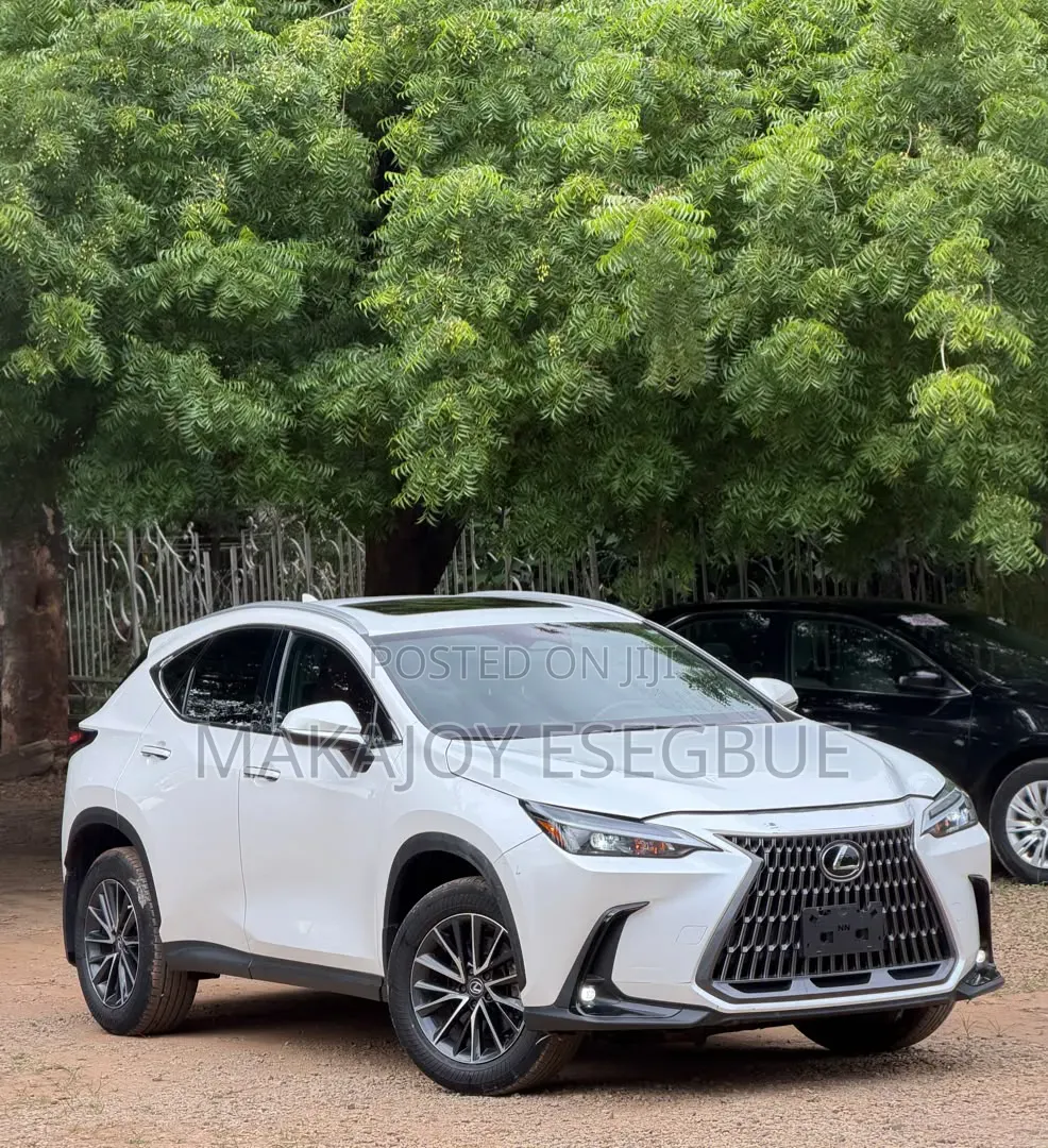 Lexus NX 2024 White
