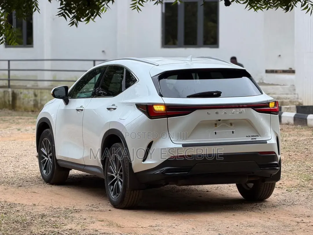 Lexus NX 2024 White
