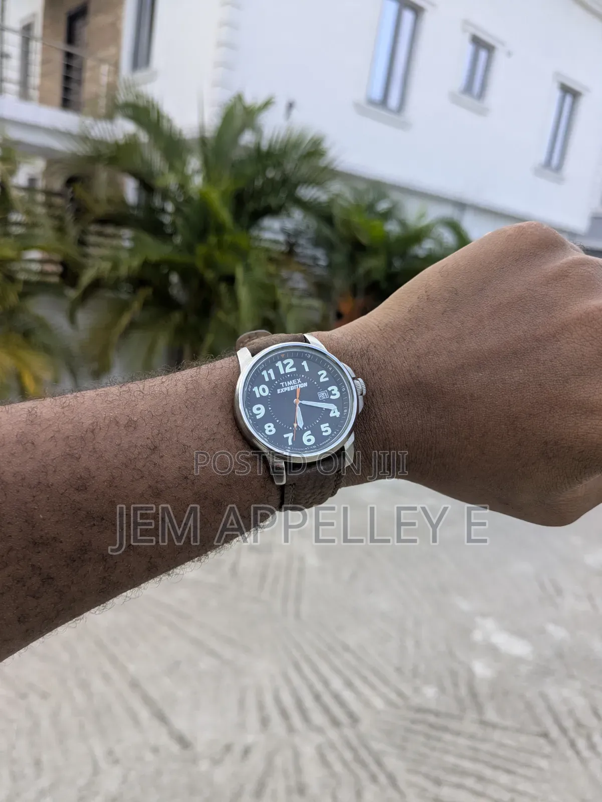 Luxury Collectibles