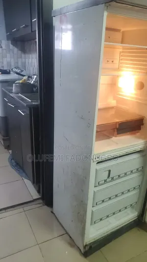 Clean Standing Fridge Freezer