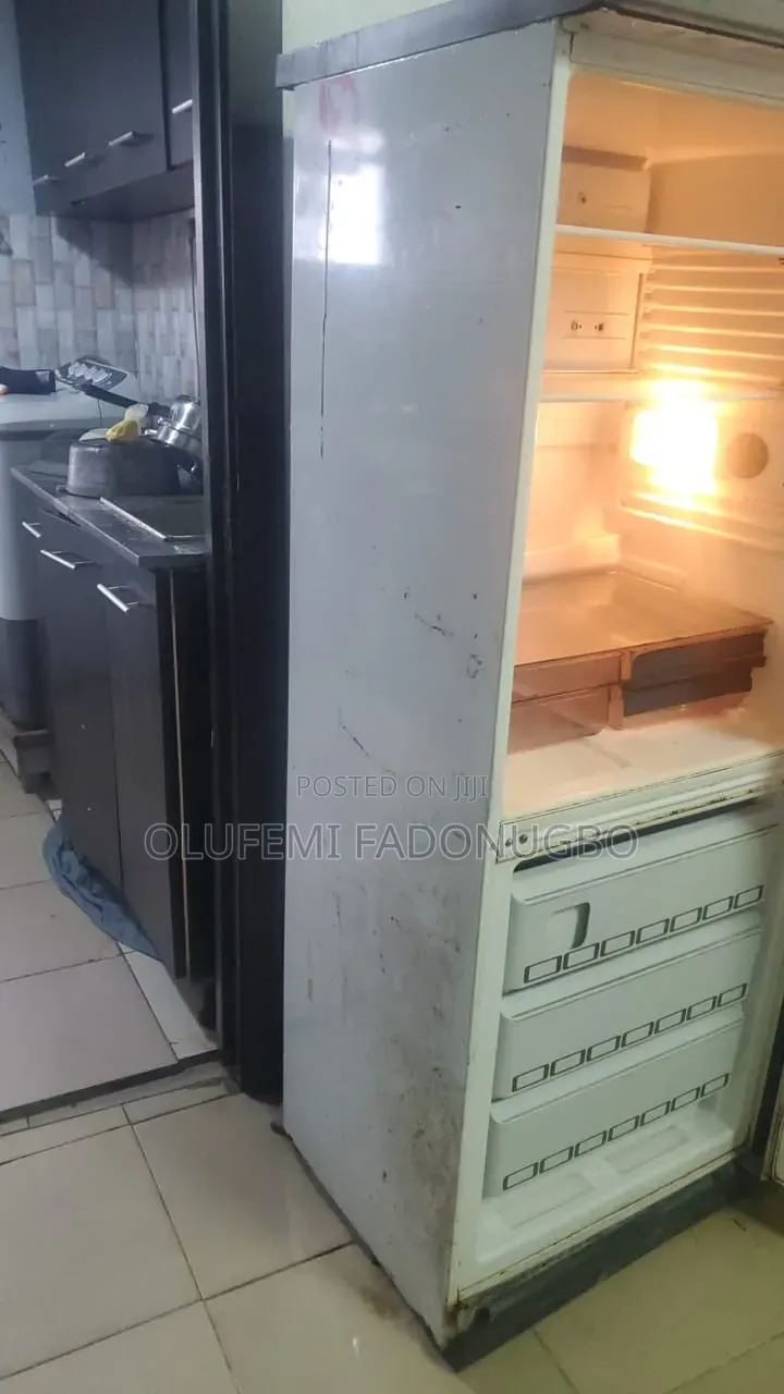 Clean Standing Fridge Freezer