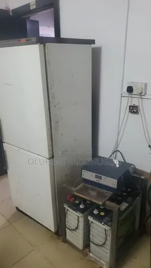 Clean Standing Fridge Freezer