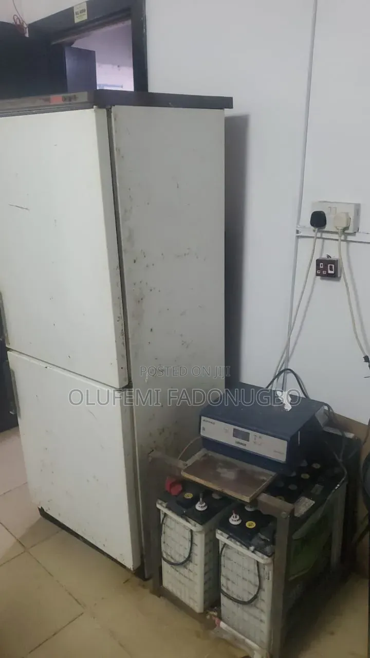 Clean Standing Fridge Freezer