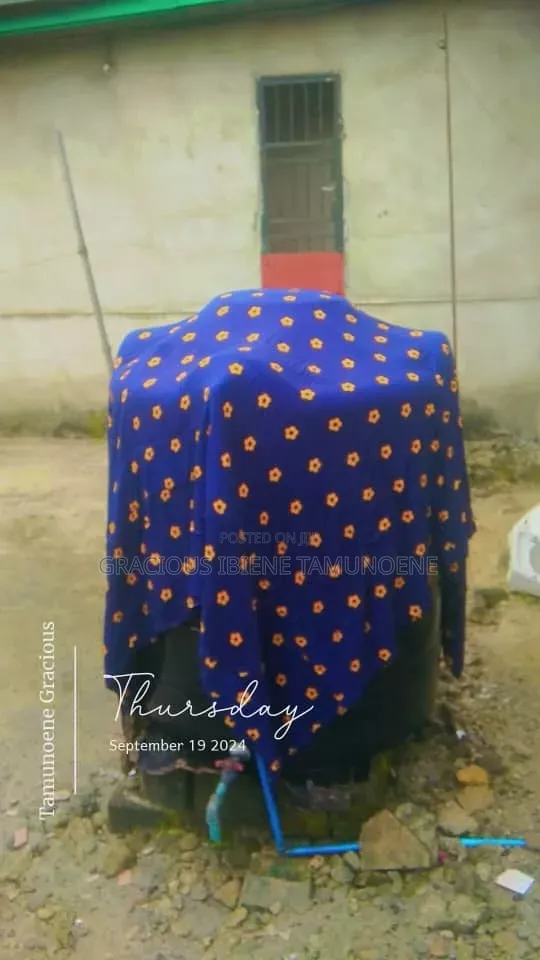 Laundry and Cleaning Services