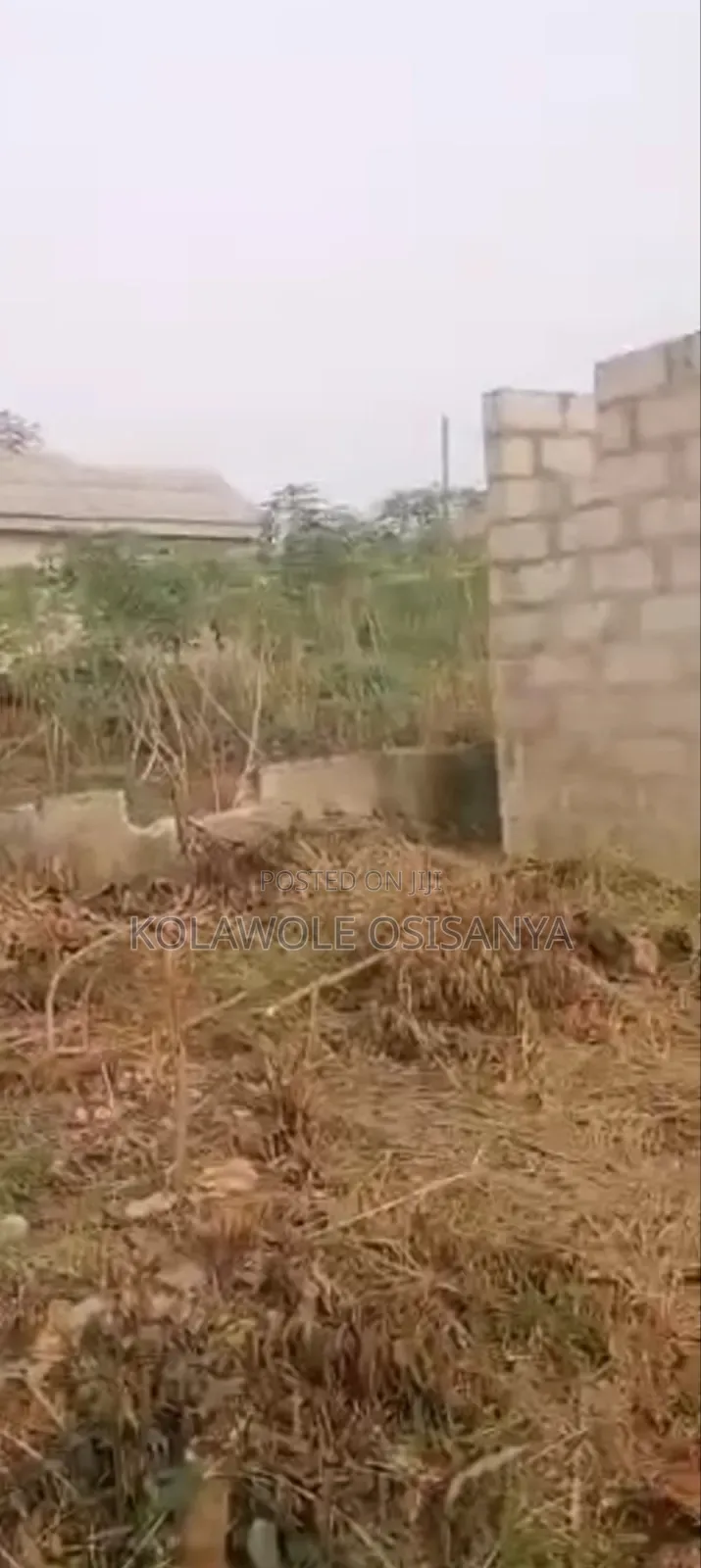 An Half Plot With Uncompleted Structures