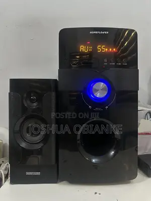 Home Theater Speaker