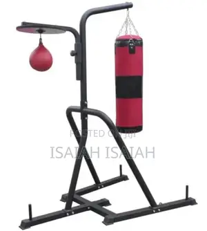 Standing Punching Bag