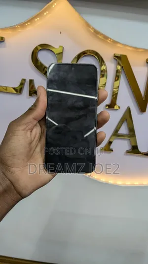 Google Pixel 9 Pro XL 256 GB Gray
