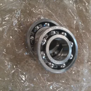 6310 Bearing