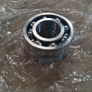 6310 Bearing
