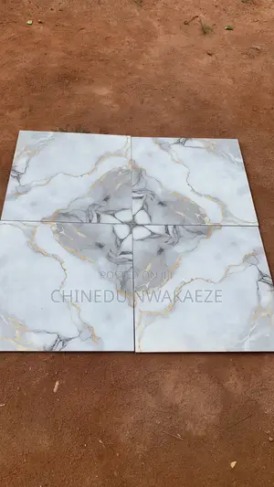 60x60 Glazed Floor Tiles